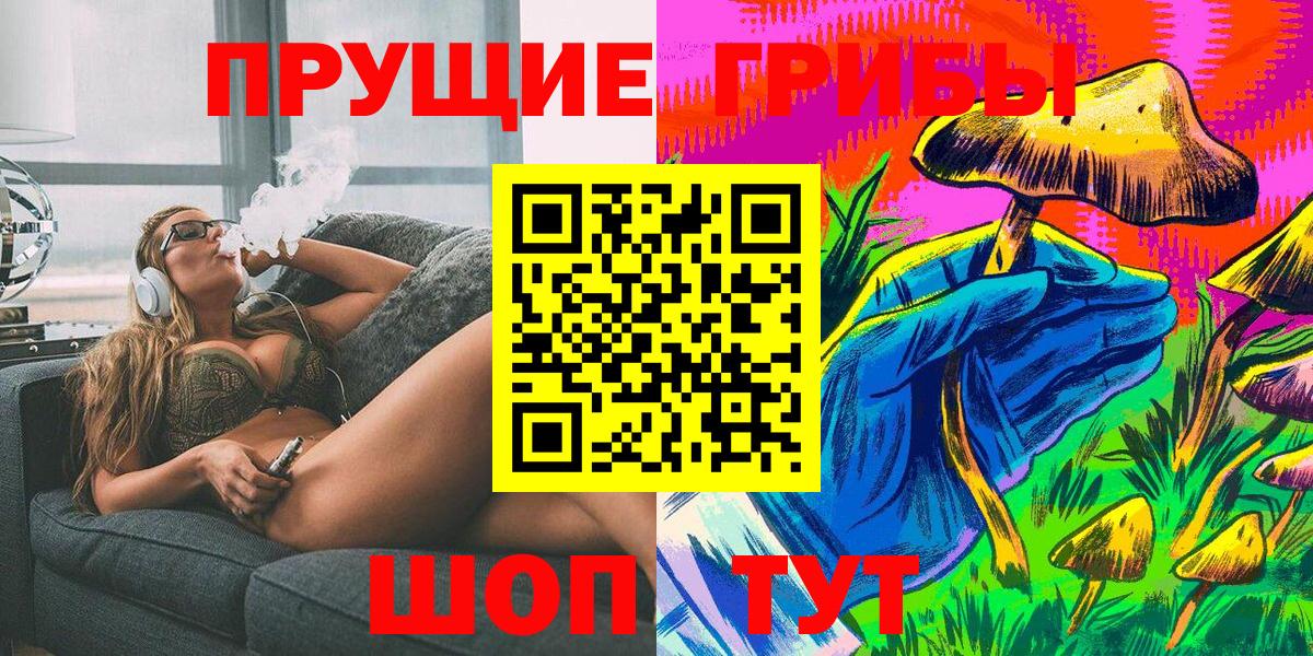 Лосино-Петровский  Галлюциногенные грибы Psilocybine cubensis  Вход с VPN  Псилоцибиновые грибы Cubensis 